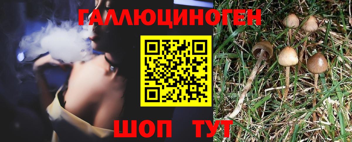 Псилоцибиновые грибы MAGIC MUSHROOMS Карачаевск