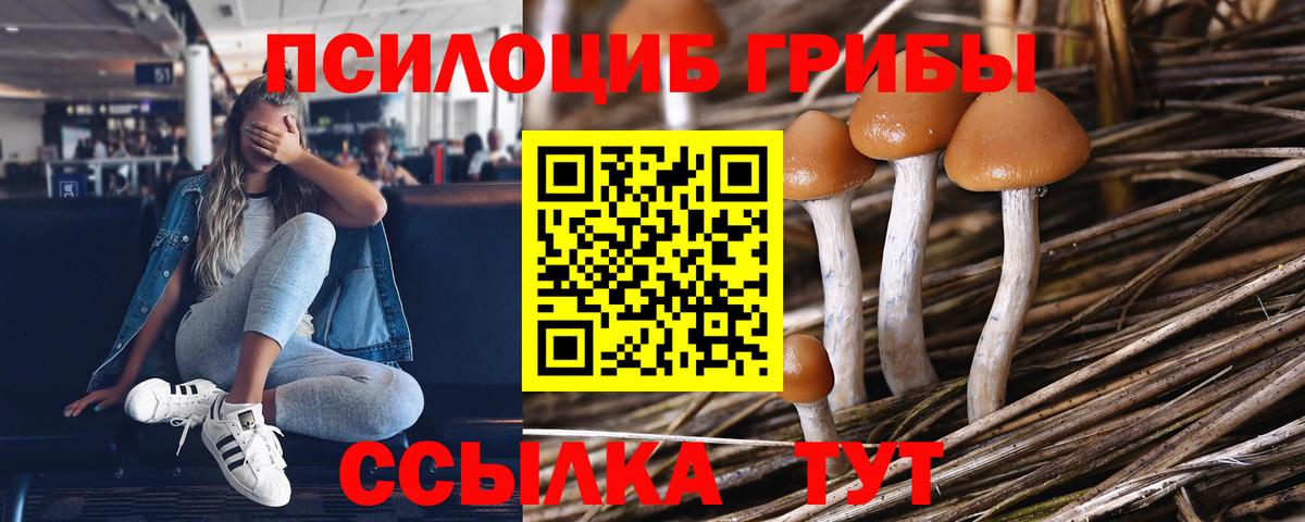 Псилоцибиновые грибы GOLDEN TEACHER  Псилоцибиновые грибы Magic Shrooms  Вход с VPN  Карачаевск 